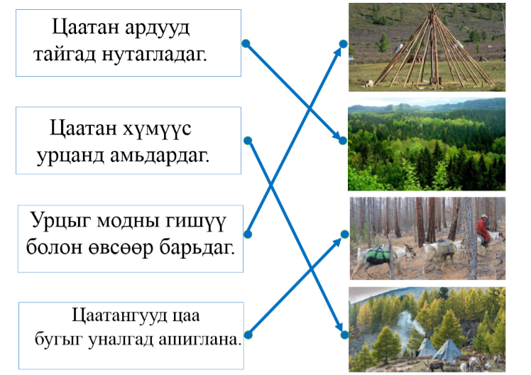Мэдлээ | Цахим контент